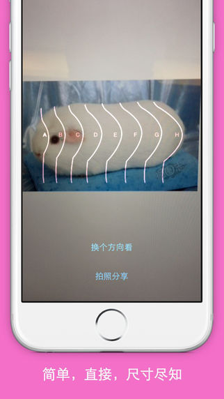 罩杯偵探iPhone版1