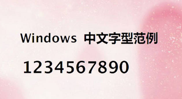 宋體粗體字體  1