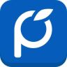 枇杷派apk(找工作神器)