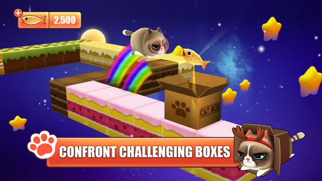 盒子里的貓(Kitty in the Box) v1.4.4 安卓版 0