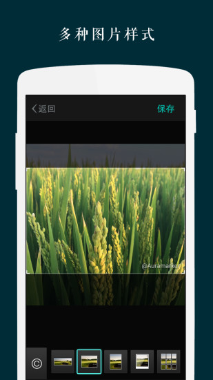zine軟件ios版(圖文筆記) v6.7.10 iphone手機版 1