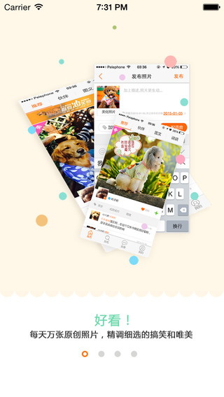 骨頭寵物app