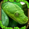 蟒蛇模擬器(Snake Sim)