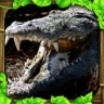 鱷魚家族模擬2019(Crocodile Family Sim 2019)