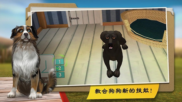 我的寄宿狗屋無限金幣版 v2.1.2 安卓版 2