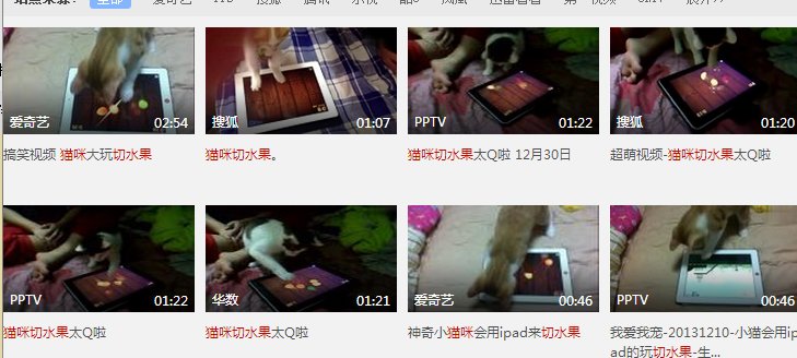 貓咪冠軍游戲