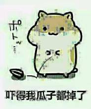倉鼠掉瓜子qq表情包