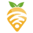 蘿卜WIFI