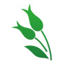 薏米醫(yī)生