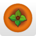 柿餅app(短視頻)