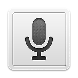 谷歌語音搜索(Voice Search)