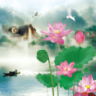 清新荷塘動(dòng)態(tài)壁紙(Lotus Pond II)