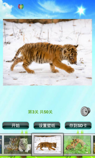 老虎拼圖兒童游戲 V1.1 安卓版 2