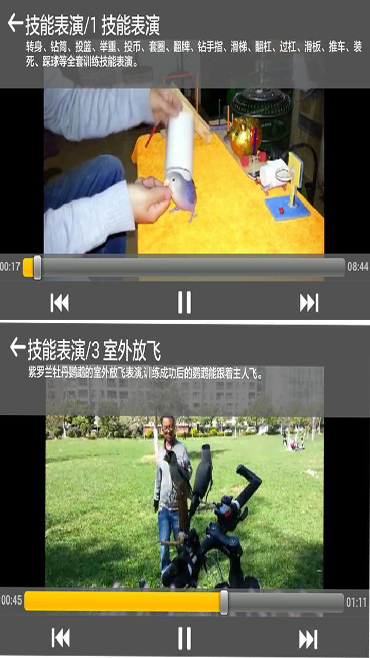 鸚鵡馴養(yǎng) v1.1 安卓版 3