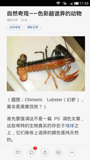 靈異驚悚奇聞 v3.1.8 安卓版 2