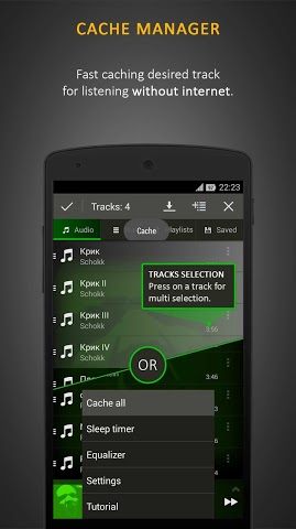 蜥蜴音樂播放器(Stellio) v4.1.0 安卓版 2