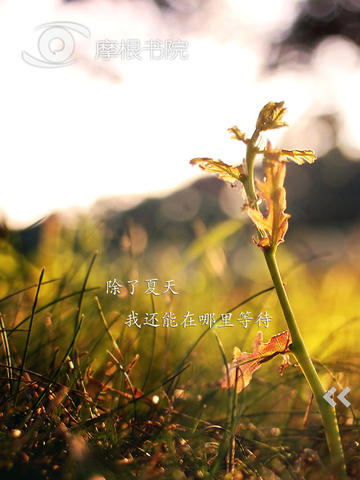 摩根書院HD2