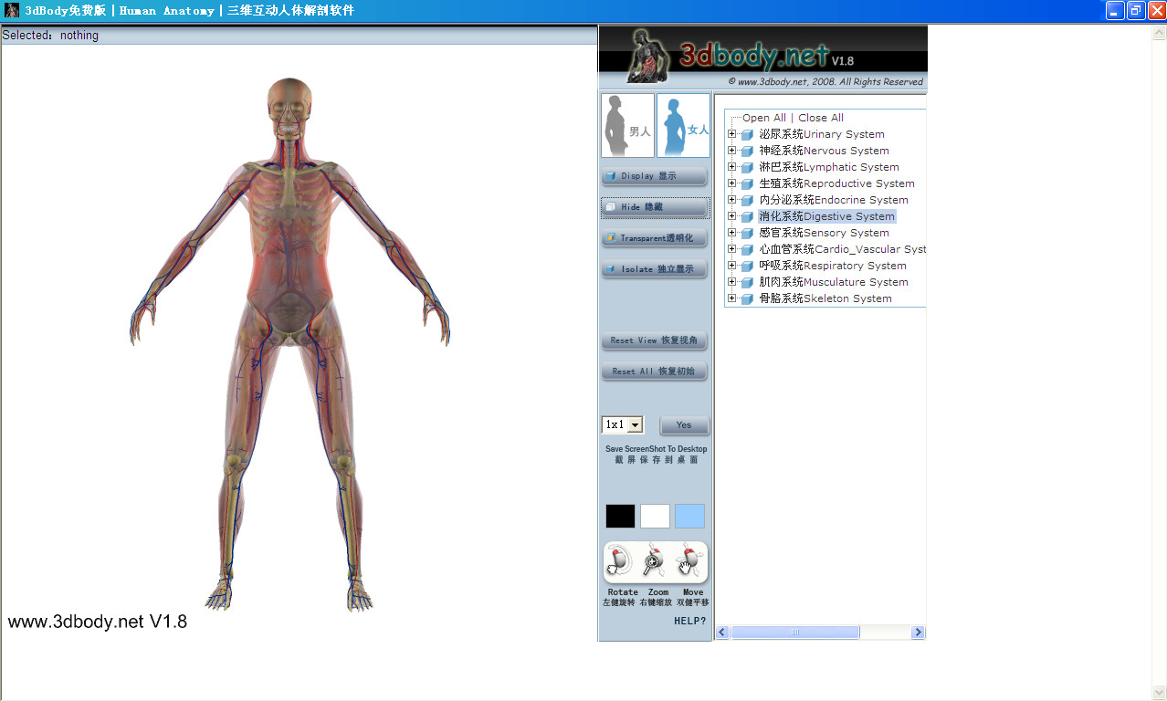 三維互動人體解剖軟件(3dbody) v1.8 綠色中文版 0