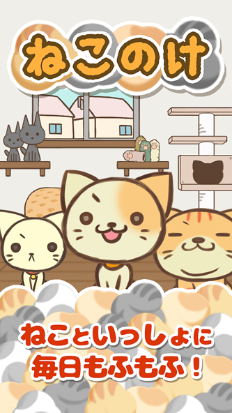 貓毛(日系休閑) v1.1.0 安卓版 1