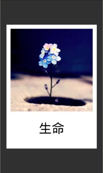 美圖配文字3
