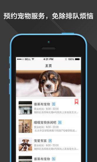 堅果寵物 v1.0.1 官網(wǎng)安卓版 0