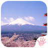 日本旅游掌百知