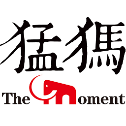 猛犸新聞app