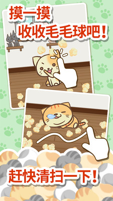 貓咪的毛app v1.2.3 安卓版 0