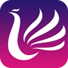 精彩掌上桐鄉(xiāng)app