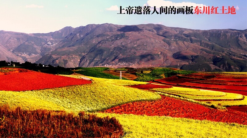 杰兔畫報(bào) v1.1.6.1312 安卓版 3