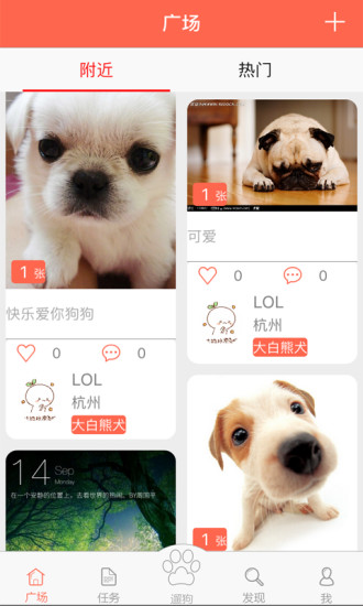 口袋狗遛狗(愛寵一族必備) v1.0.1 安卓版 0