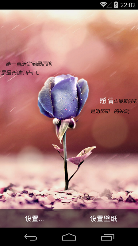 執(zhí)子手等花開(唯美壁紙) v1.2.2 安卓版 2