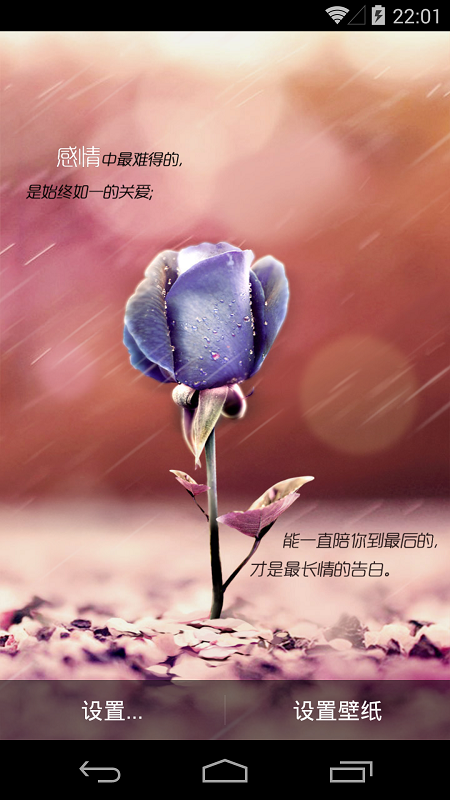 執(zhí)子手等花開(唯美壁紙) v1.2.2 安卓版 3