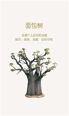 面包樹 v1.0 安卓版 0