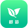 樹苗WiFi
