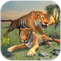 虎族(Clan of Tigers)