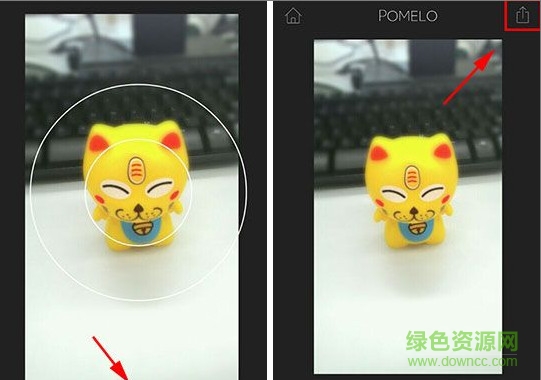 pomelo相機