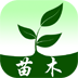 華南苗木
