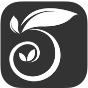 微舞ios版