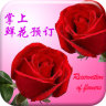 掌上鮮花預(yù)訂