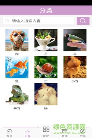 寵物平臺手機(jī)客戶端 v1 安卓版 0