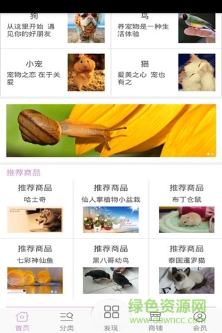 寵物平臺手機(jī)客戶端 v1 安卓版 3