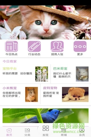 寵物平臺手機(jī)客戶端 v1 安卓版 2