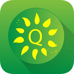 Quizii葵花籽西山電腦版