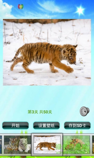 老虎拼圖兒童游戲 v5.1 安卓版 3