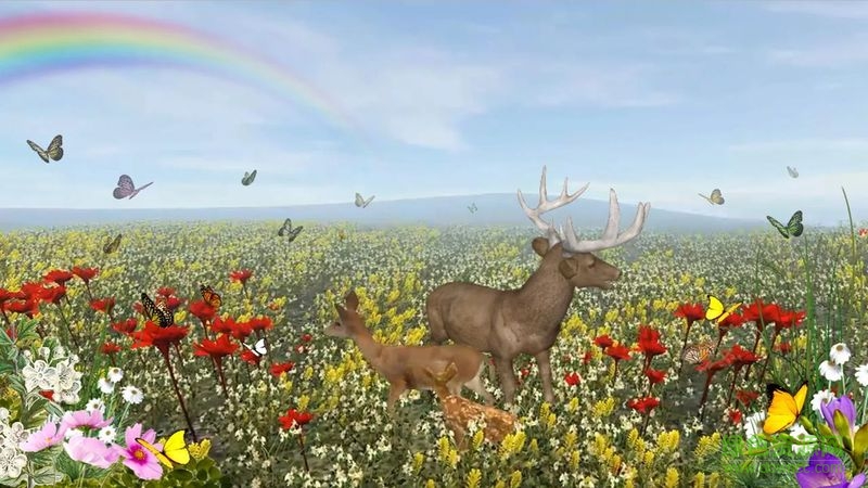 鹿的一生中文修改版(life of deer) v1.1.0 安卓版 3
