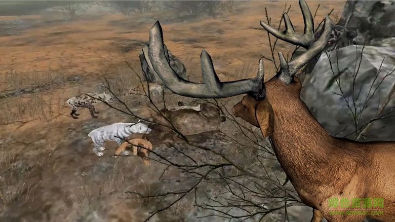 鹿的一生(Life Of Deer) v1.1.0 安卓版 3