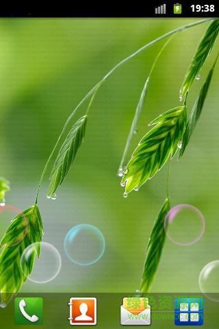 植物護(hù)眼動(dòng)態(tài)壁紙 v1.0 安卓版 1