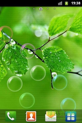 植物護(hù)眼動(dòng)態(tài)壁紙 v1.0 安卓版 2