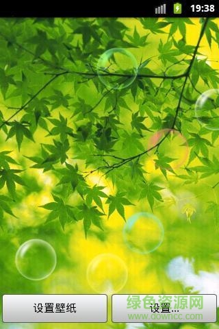 植物護(hù)眼動(dòng)態(tài)壁紙app
